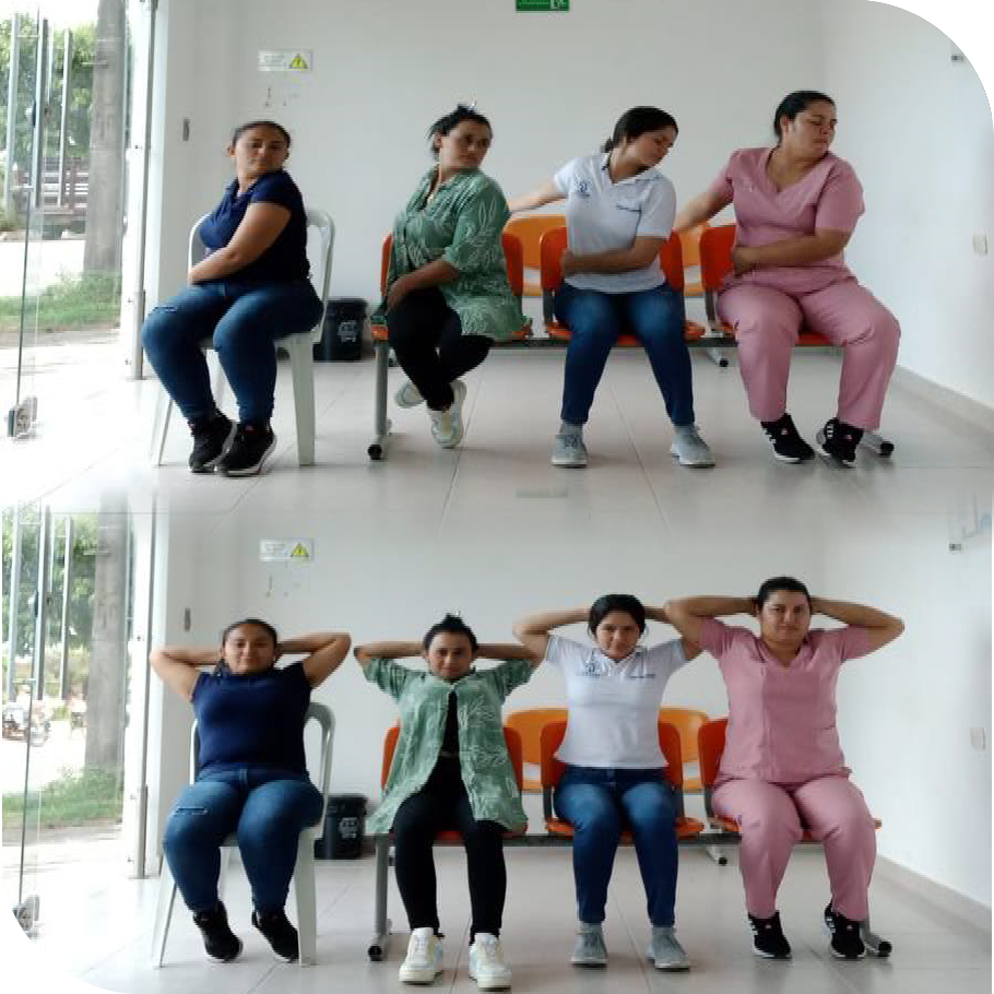 Movilidad articular
